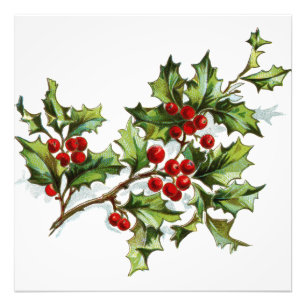 Impression Photo HollyBerries20150801