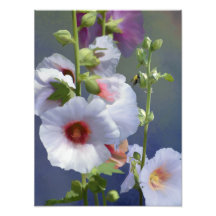Hollyhocks - Peinture numérique - élargissement de