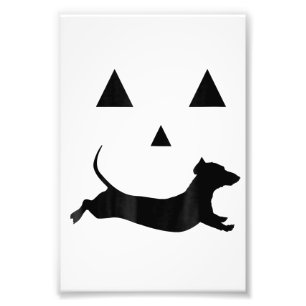 Impression Photo Hommes Citrouille Halloween Dachshund Jack-O-Lante
