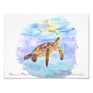 Impression Photo Honu, Maui Tamara...