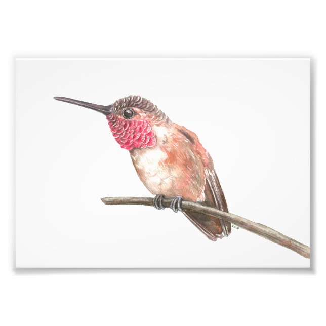 Impression Photo Hummingbird watercolor (Devant)