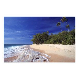 Impression Photo Îles Fidji, Tavarua. Cette plage sur Tavarua,