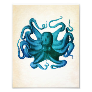 Impression Photo Illustration de pieuvre aquarelle