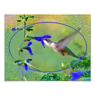 Impression Photo Illustration du déjeuner des colibris