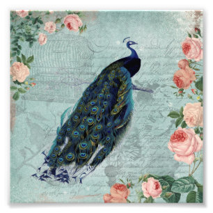 Impression Photo Illustration vintage de paon et de roses