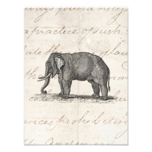 Impression Photo Illustration vintage d'éléphant de 1800s -