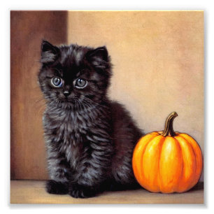 Impression Photo Illustration vintage Halloween Black Kitten