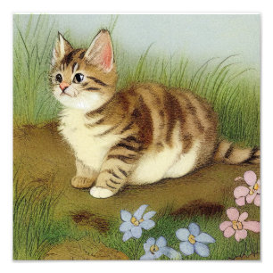 Impression Photo Illustration vintage Kitten avec fleurs