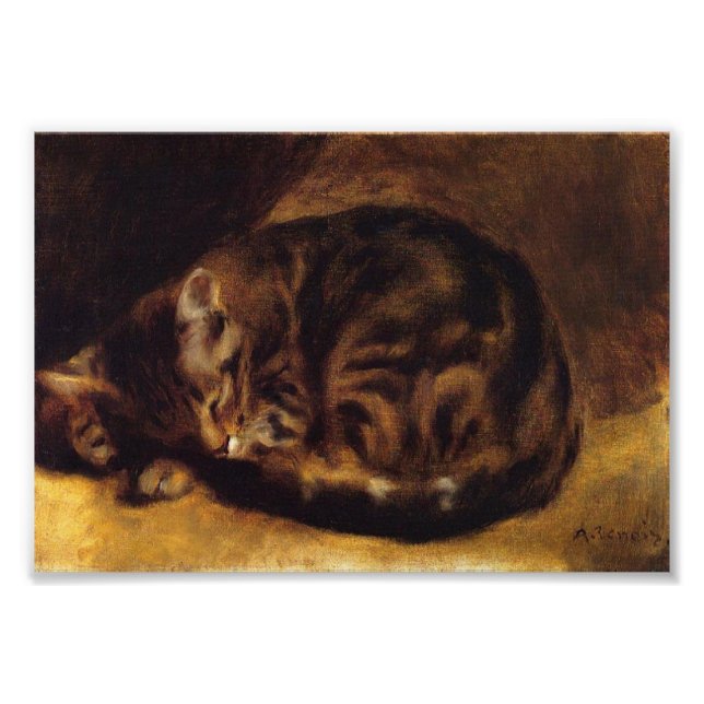 Impression Photo Imprimante de chats de couchage Renoir (Devant)