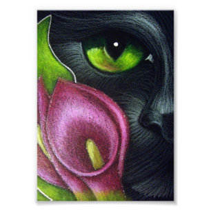 IMPRESSION PHOTO IMPRIMER CHAT NOIR MAGENTA CALLA LILY