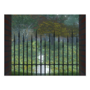 Impression Photo Imprimer dans l'ancienne forêt