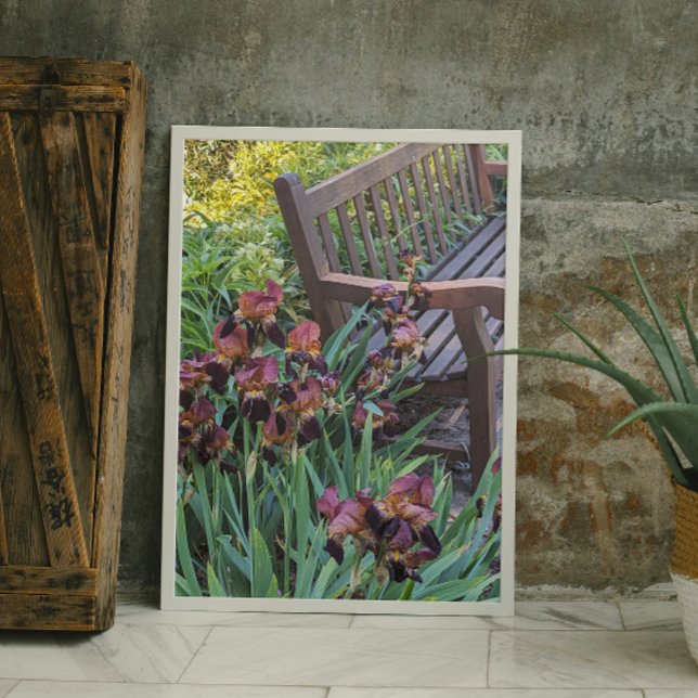 Impression Photo Irises Blooms et Garden Park Bench Floral (In Situ)