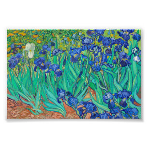 Impression Photo Irises par Vincent van Gogh