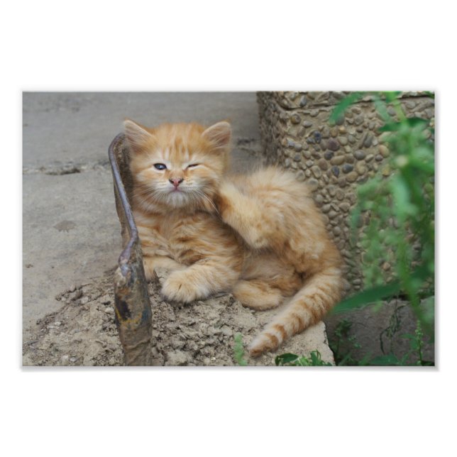 Impression Photo Itchy (Devant)