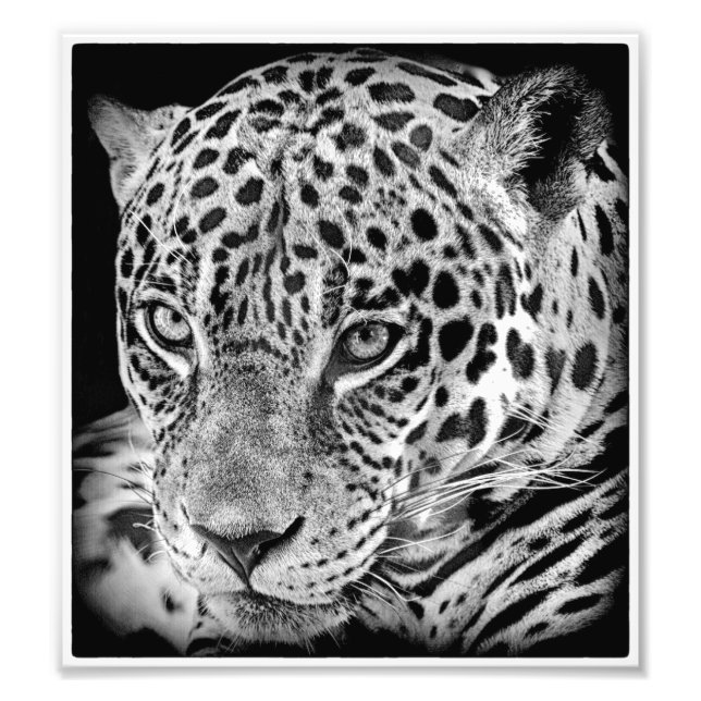 Impression Photo Jaguar exotique (Devant)