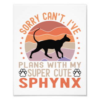 Impression Photo J'ai des plans avec mon chat Sphynx
