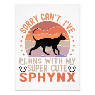 Impression Photo J'ai des plans avec mon chat Sphynx
