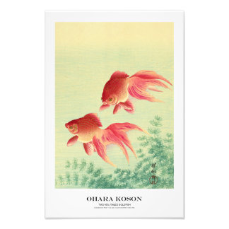 Impression Photo Japanese Art Print - Ohara Koson - Goldfish