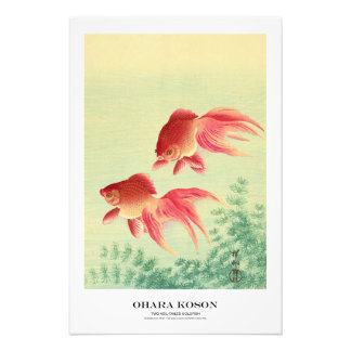 Impression Photo Japanese Art Print - Ohara Koson - Goldfish