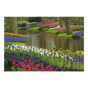 Impression Photo Jardin de tulipe et d'hyacinthe, Keukenhof Gardens
