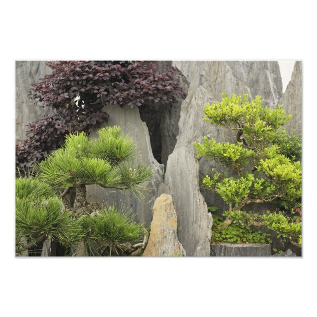 Impression Photo Jardin familial de Bao, Huangshan, Chine. 2 (Devant)