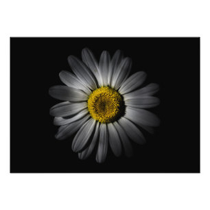 Impression Photo Jardin Fleurs 52 Couleur Version