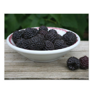 Impression Photo Jardin Fraîches de framboises noires à Bowl