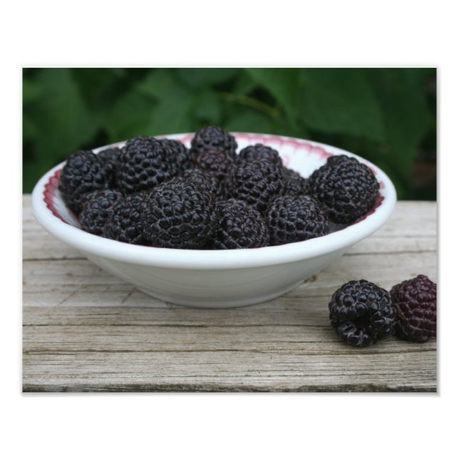 Impression Photo Jardin Fraîches de framboises noires à Bowl (Devant)