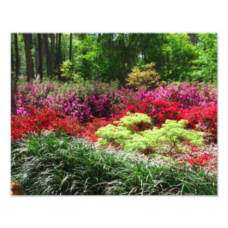 Impression Photo Jardins d'Azalea