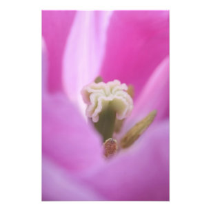 Impression Photo Jardins de Keukenhof, Hollande, spécialisé en 3