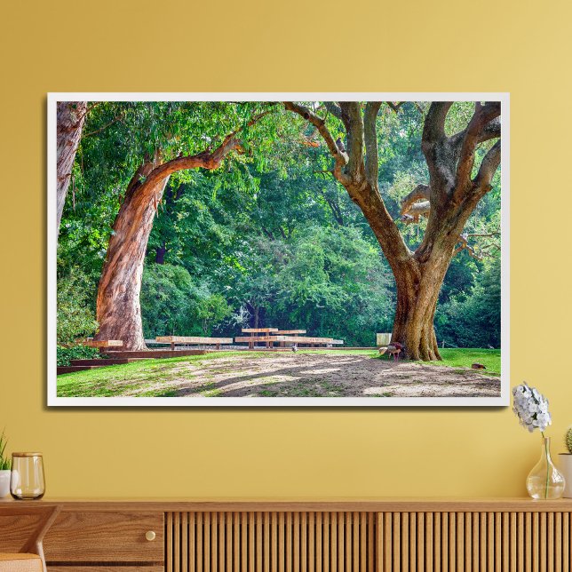 Impression Photo Jardins de la fondation Calouste Gulbenkian. (Créateur téléchargé)