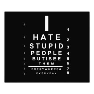 Impression Photo Je déteste les idiots