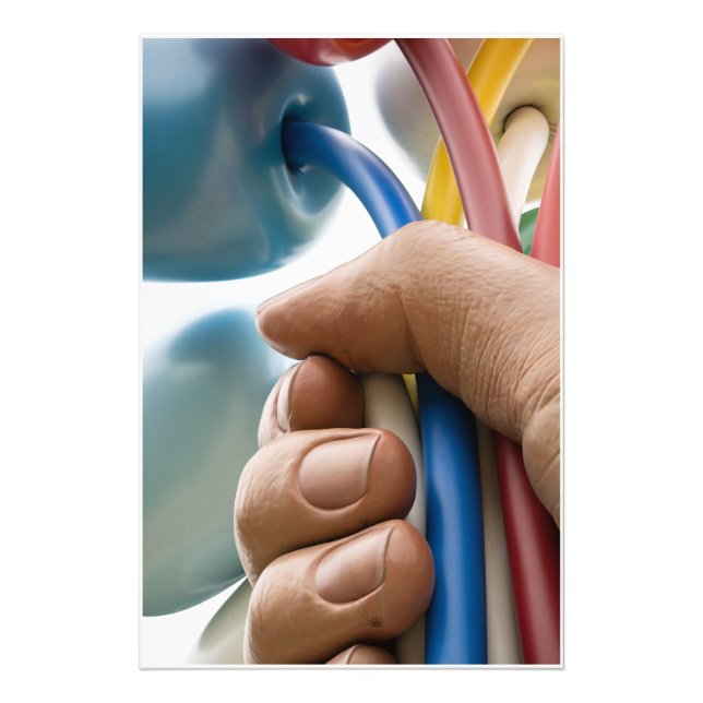 Impression Photo Jeff Koons Sculpture "Bouquet de Tulipes" à Paris (Devant)