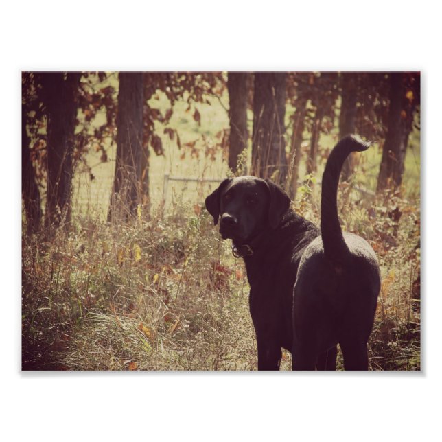 Impression Photo Jetta fille (Devant)