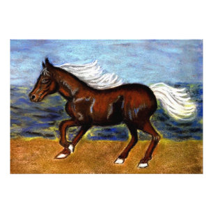Impression Photo Jeune Colt