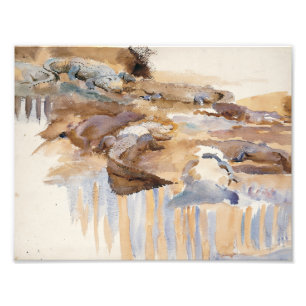 Impression Photo John Singer Sargent - Alligators