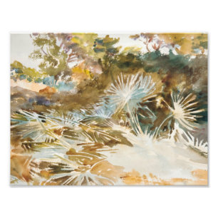 Impression Photo John Singer Sargent - Paysage avec Palmettos