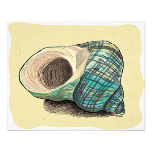 Impression Photo Joli coquille bleue