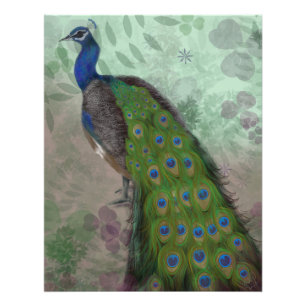 Impression Photo Joli Peacock