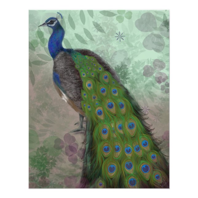 Impression Photo Joli Peacock (Devant)