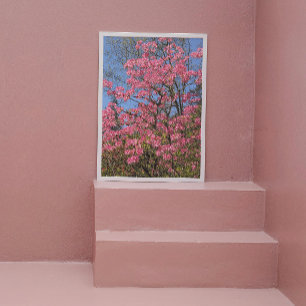 Impression Photo Joli rose Azaleas Floral