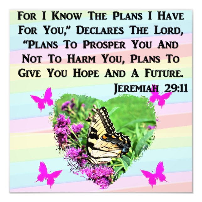 IMPRESSION PHOTO JOLIE BOUTTERFLY JEREMIAH 29:11 (Devant)