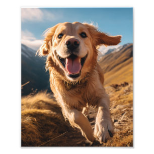 Impression Photo Joyeux Golden Retriever en cours