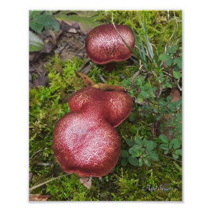 Impression Photo Jumeaux en marbre