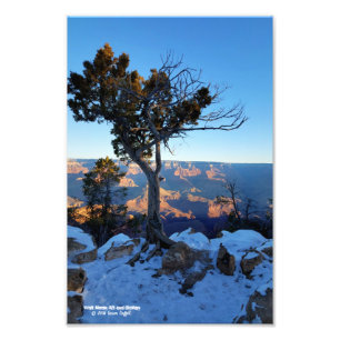 Impression Photo Juniper Tree En Neige Au lever Du Soleil Dans Gran