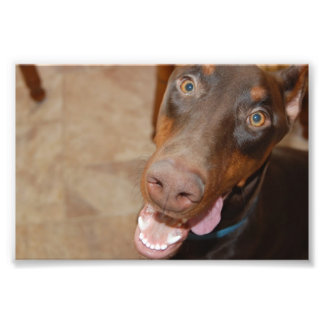 Impression Photo Kaiser