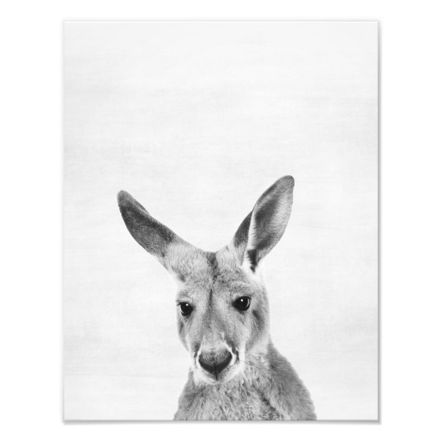 Impression Photo Kangaroo (Devant)