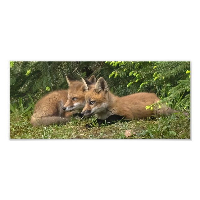 Impression Photo Kit Fox Pals (Devant)
