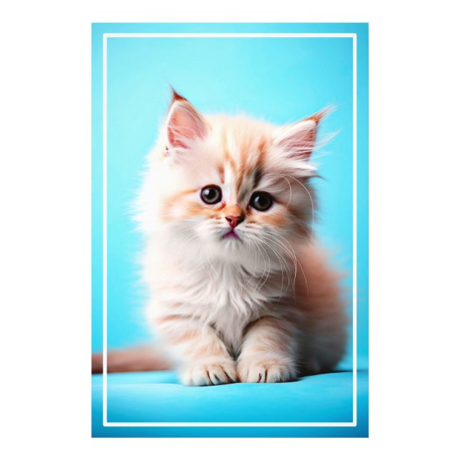 Impression Photo Kitten adorable avec Arrière - plan bleu (Devant)