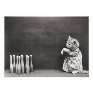 Impression Photo Kitten Bowling